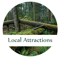 Local Attractions