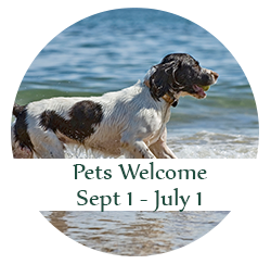 Pets Welcome: Sept 1 - July 1